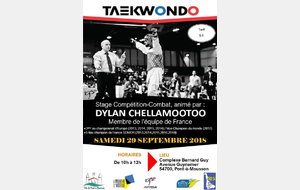 Stage Combat avec Dylan Chellamootoo